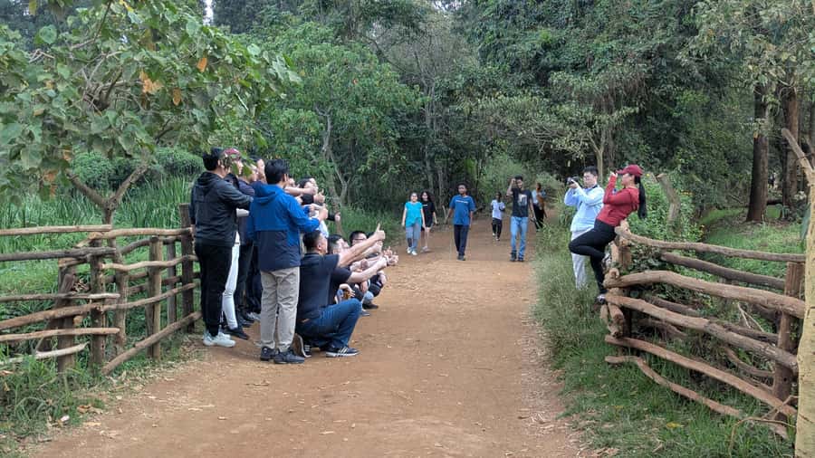 Karura Forest: Walking tour with Nature and Waterfalls. - The second walking section and return to Gate C