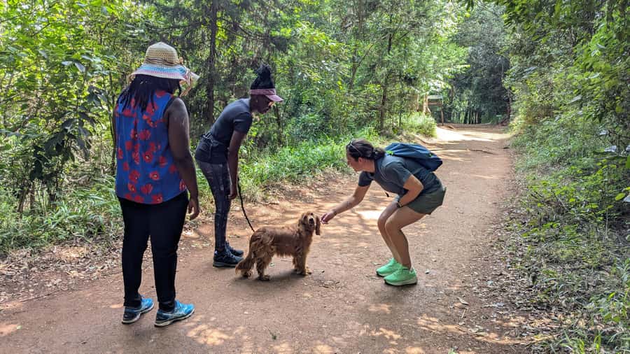Karura Forest: Walking tour with Nature and Waterfalls. - Meeting Allan at Gate C