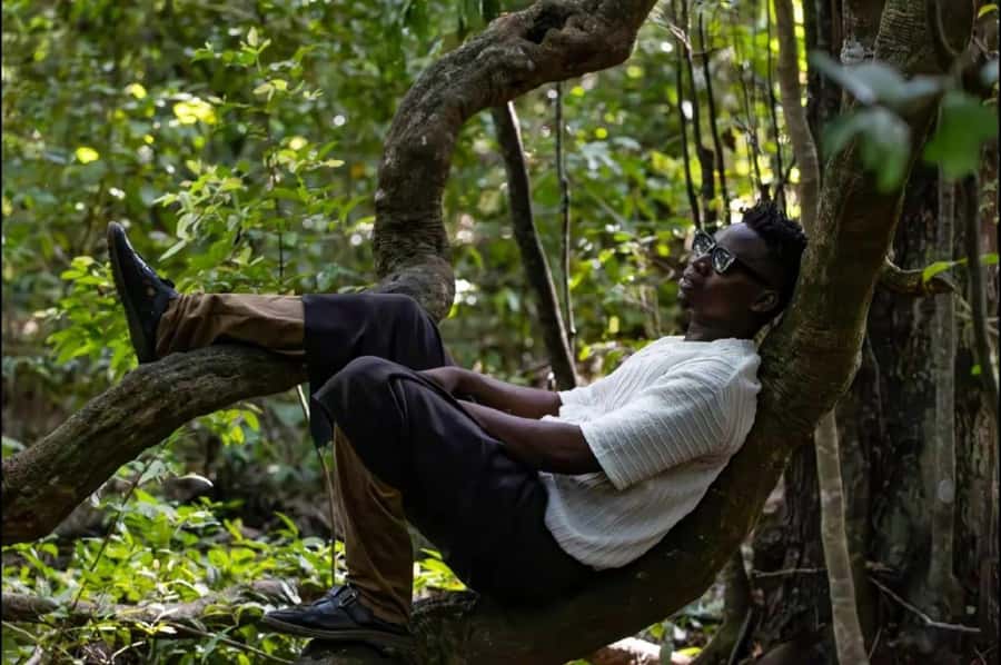Kaya Kinondo Sacred Forest Guided Tour - Key points to know before you go