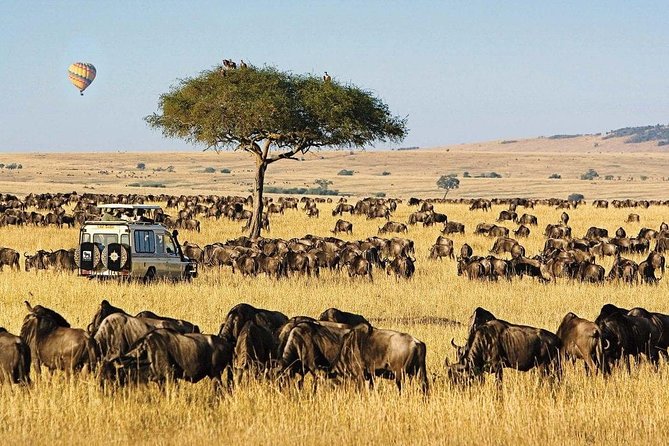 Keekorok Lodge 3 Days, 2 Nights Maasai Mara Offer - The Mara River and the migration story