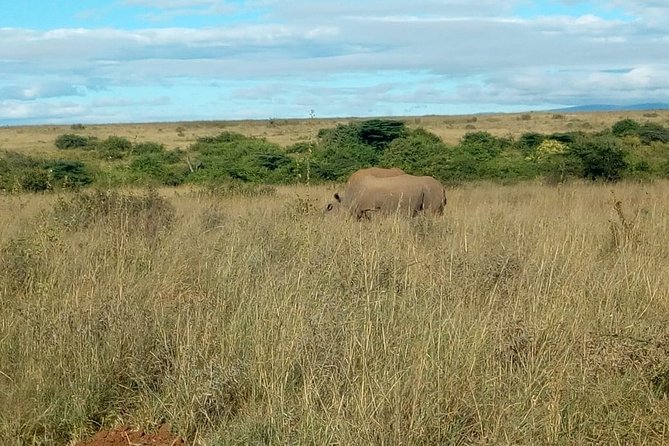 Kenya safari - Day 1: Nairobi arrival and a flexible city start