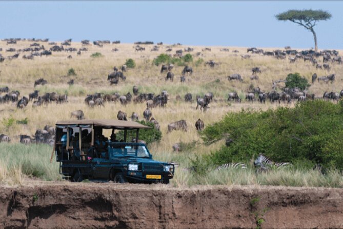 Kenya safari - Day 5: A full-day Maasai Mara game drive