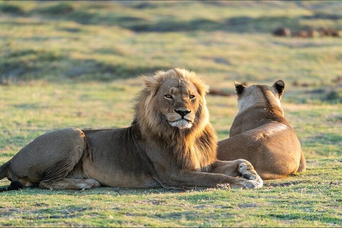 Kenya safari - Day 7: Return to Nairobi and the airport