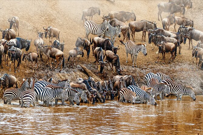Kenya safari - Meals, hotels, and the private format