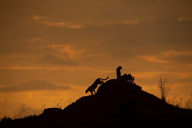 Kenya Safari: Amboseli, Lake Naivasha & Masai Mara - What the $1,650 price covers