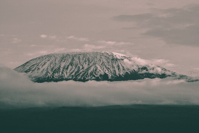 Kilimanjaro Wanderlust Day Hike - Key points at a glance