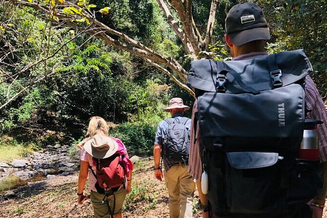 Kilimanjaro Wanderlust Day Hike - Kilimanjaro from the Kenyan side