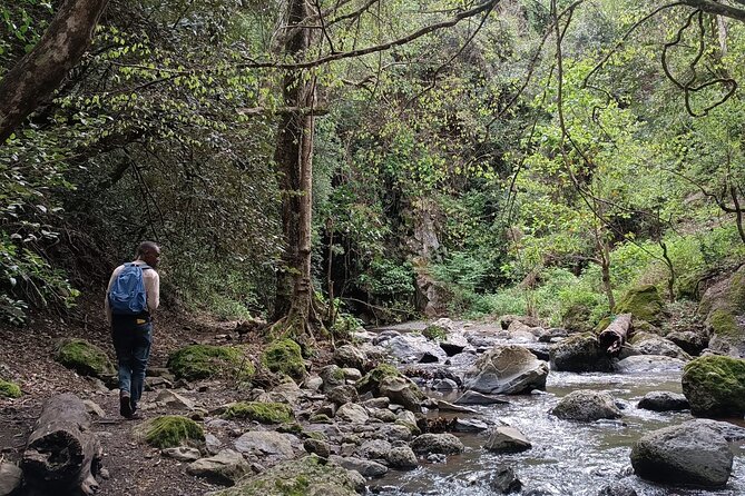 Kilimanjaro Wanderlust Day Hike - Brian’s guiding style and the local stories