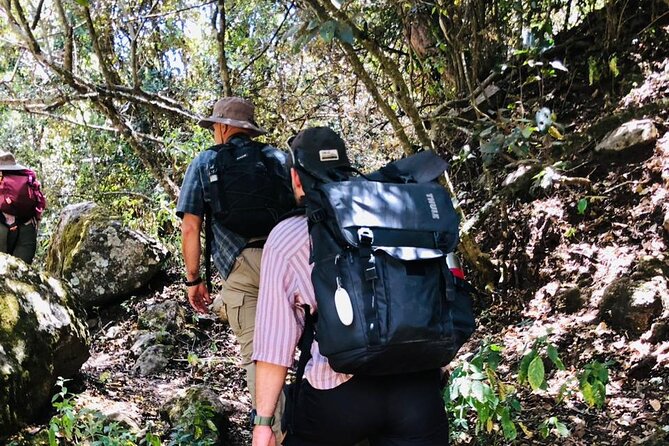 Kilimanjaro Wanderlust Day Hike - Why a private group changes the experience