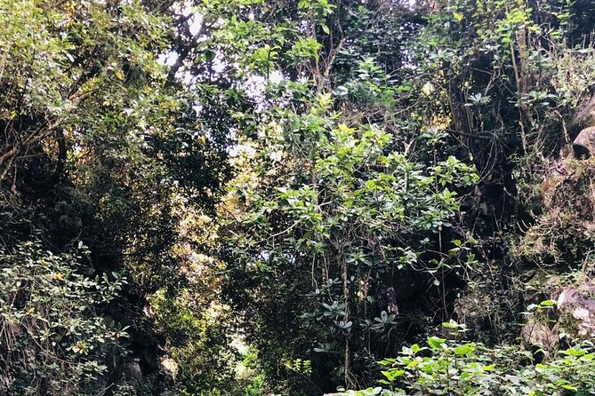 Kilimanjaro Wanderlust Day Hike - Who will enjoy this hike most