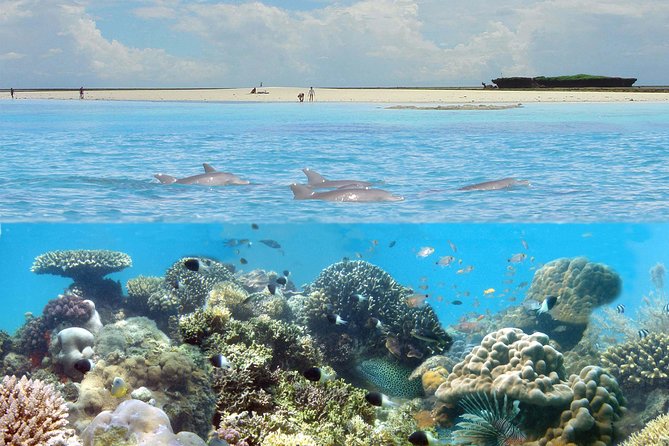 Kisite Marine Park Private Boat Snorkeling with breakfast & Lunch - Key points to know before booking