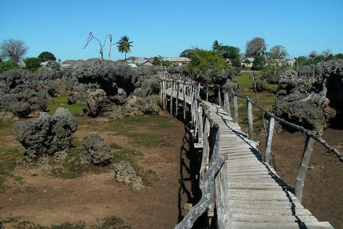 Kisite Marine Park Private Boat Snorkeling with breakfast & Lunch - The long road from Malindi to Shimoni