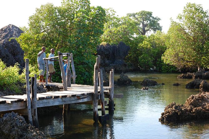 Kisite Marine Park Private Boat Snorkeling with breakfast & Lunch - Who will enjoy this private dhow day