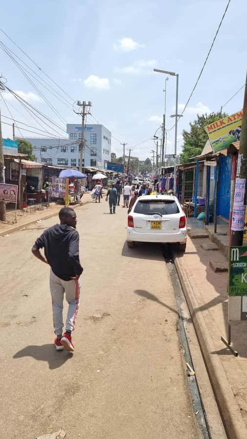 Kisumu City Centre Walking Tour - The possible trip to Dunga fishing village