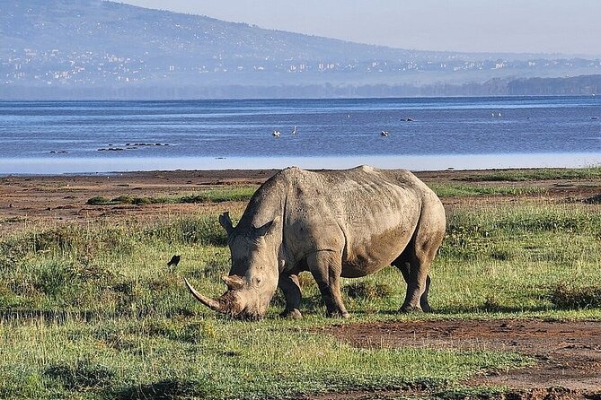 Lake Naivasha And Lake Nakuru Overnight Tour - The Rift Valley viewpoint before Hell’s Gate