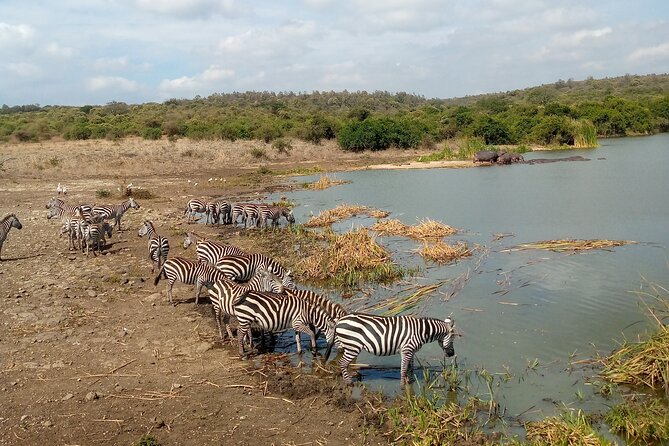 Lake Naivasha And Lake Nakuru Overnight Tour - A boat ride among Lake Naivasha’s hippos