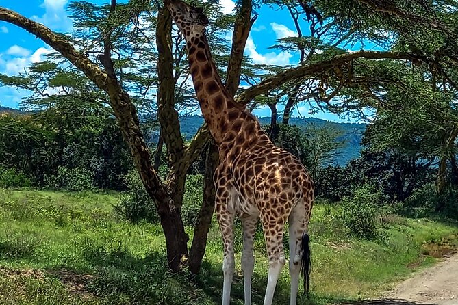 Lake Naivasha And Lake Nakuru Overnight Tour - The overnight stop and what to confirm