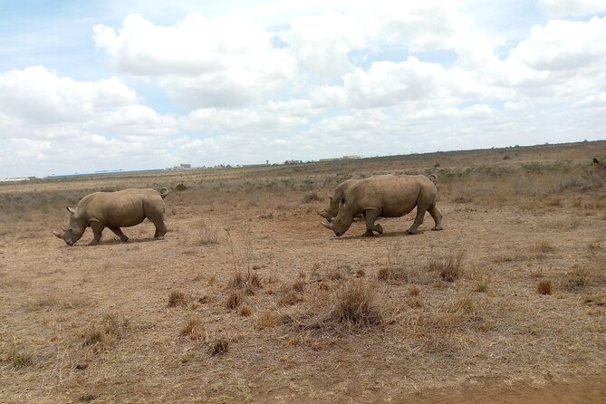 Lake Naivasha And Lake Nakuru Overnight Tour - Six hours among Lake Nakuru’s rhinos and flamingos