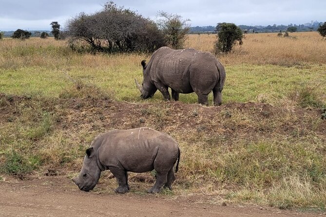 Lake Naivasha And Lake Nakuru Overnight Tour - How the guide affects the day