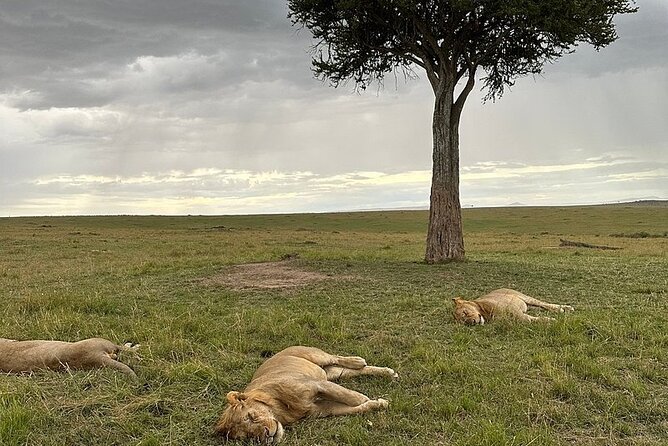 Lake Naivasha And Lake Nakuru Overnight Tour - Is $315 good value?