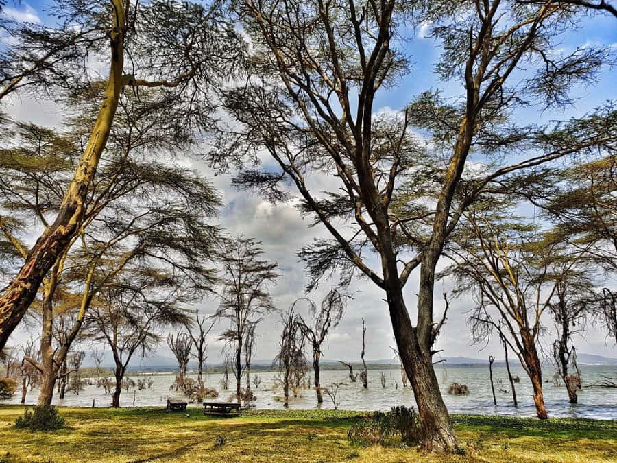 Lake Naivasha: Crescent Island Game Sanctuary - Timing, comfort, and what to pack