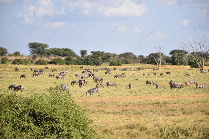 Lake Naivasha day tour including the crescent island - A guided walk among giraffes and zebras