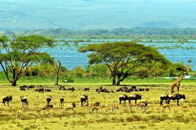 Lake Naivasha day tour including the crescent island - The guides can shape the whole day
