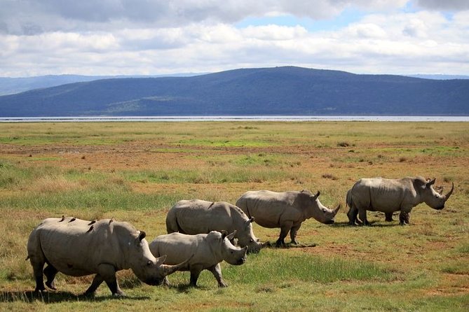 Lake Nakuru Day Trip From Nairobi - What the $195 price really covers