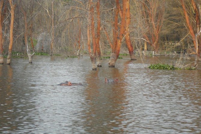 Lake Nakuru National Park Day Tour Via Lake Naivasha - The shift from safari to Lake Naivasha