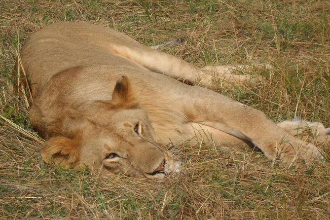 Lake Nakuru National Park Day Tour Via Lake Naivasha - What $150 includes, and what it leaves out
