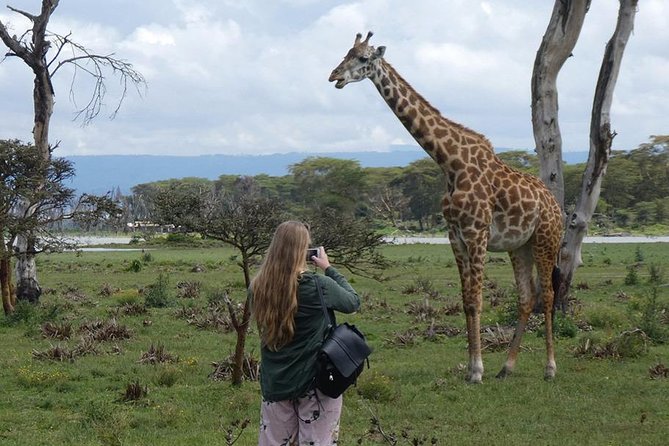 Lake Nakuru National Park: Day Trip from Nairobi - Flamingos, rhinos, giraffes, and the lake shore