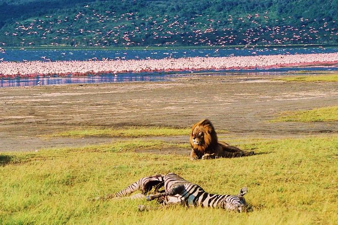 Lake Nakuru National Park: Day Trip from Nairobi - What the $170 price really buys you