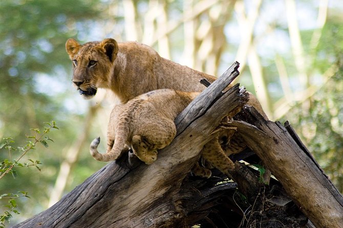 Lake Nakuru National Park daytrip - Lunch, water, and what the price covers