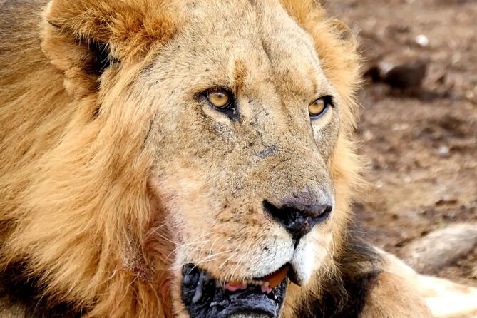 Lake Nakuru NP Half-Day Safari - Starting at Westside Mall at 6:30 am