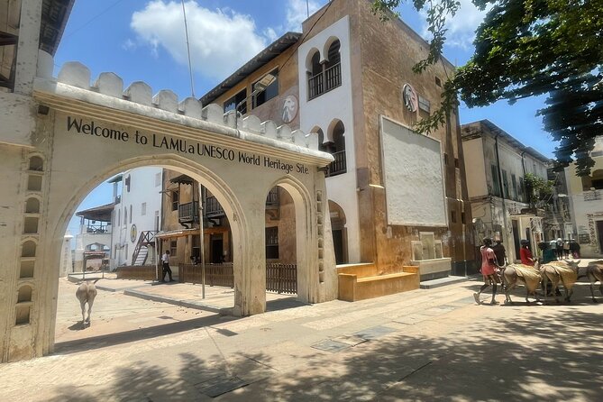 Lamu Old Town Walking Tour - Why Lamu is best understood on foot