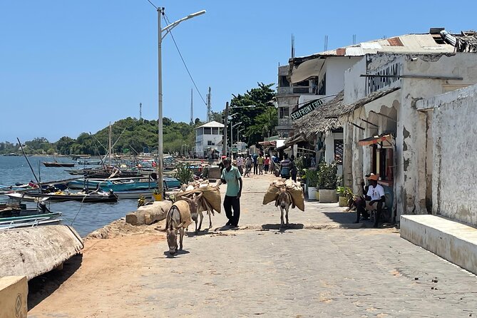 Lamu Old Town Walking Tour - Lamu Museum and the story behind the buildings
