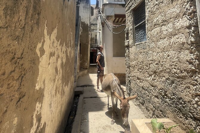 Lamu Old Town Walking Tour - Lamu Market and the everyday side of town