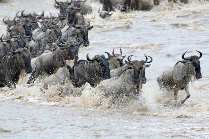 Maasai Mara 3 Day Guided Tour - Nairobi to Maasai Mara: a full first day on the road