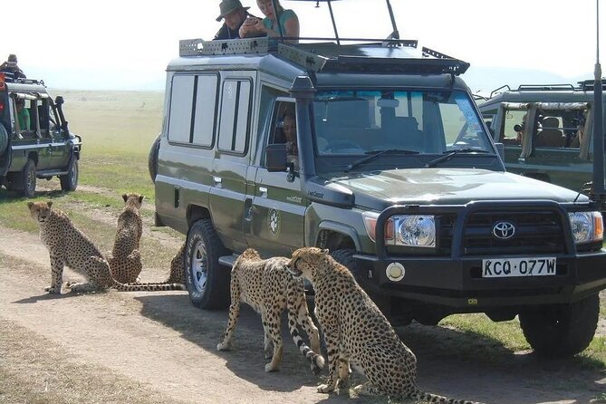 Maasai Mara 3 Day Guided Tour - The return to Nairobi on day three