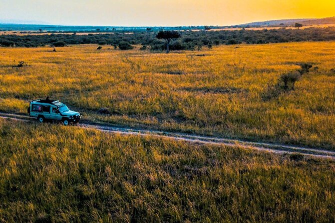 Maasai Mara 3 Day Guided Tour - The guide and the feel of the trip
