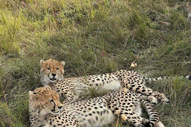 Maasai Mara Day Trip - The 4:00 AM start and the road from Nairobi