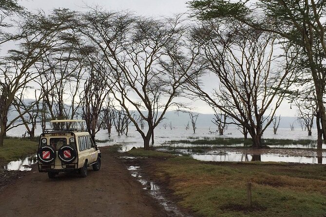 Maasai Mara Day Trip - What the game drive can and cannot promise