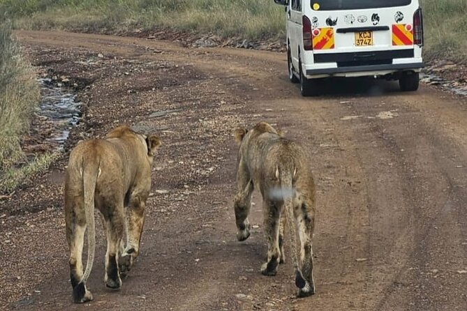 Maasai Mara Day Trip - A small group, shared vehicle, and guide quality