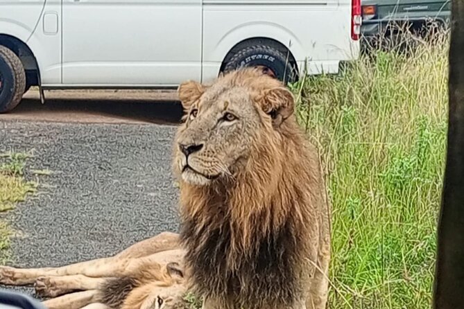 Maasai Mara Day Trip - Who should book this Maasai Mara day trip?