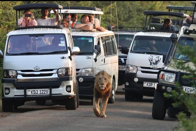 Maasai Mara Day Trip From Nairobi - Key points at a glance