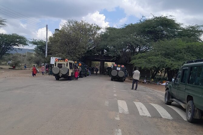 Maasai Mara Day Trip From Nairobi - Is $250 a fair price?