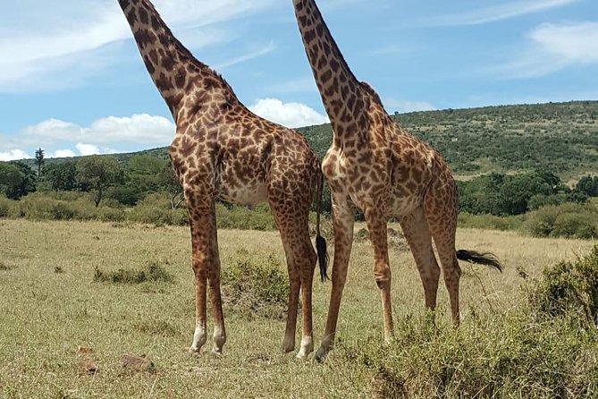 Maasai Mara Game Reserve - Key points at a glance