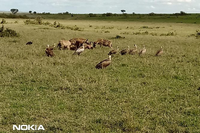 Maasai Mara Game Reserve - What the $2,100 price covers