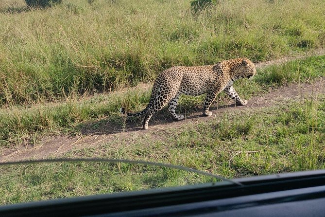 Maasai Mara Safari!! - Leaving Nairobi at 7:00 a.m.
