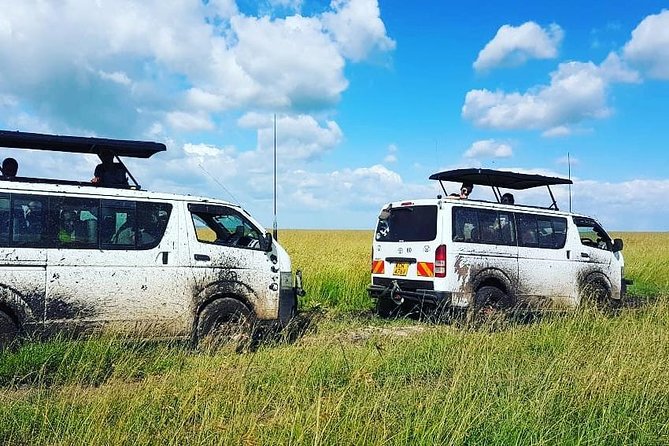 Maasai Mara Safari!! - The first afternoon among zebras and wildebeest